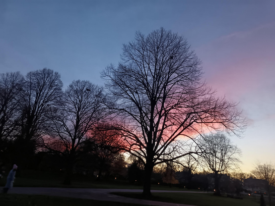 Tall bare trees dominate in silhouette form this frame against a fading sunset blue sky with clouds in various hues of pink at the park. A descending sun leaves yellow highlights over dense foliage dotted in lights in the distance. A slanted figure in a pale blue coat and a pink hat appears on the left walking across tarmac surrounded by patches of grassland.