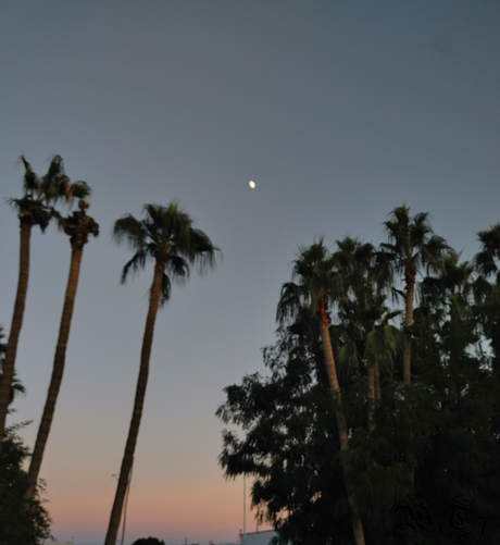 the moon in the sky during sunset