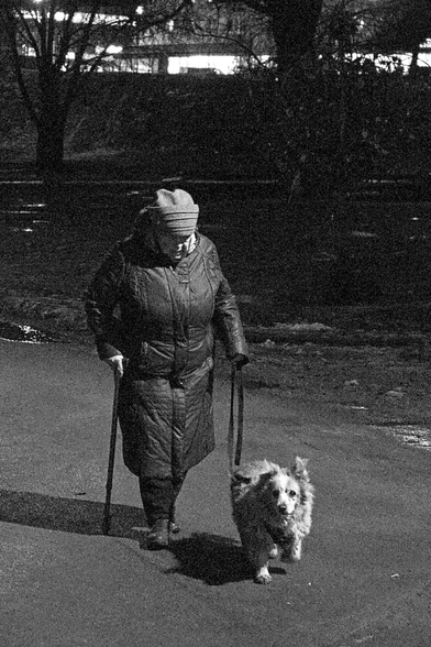 In the black-and-white photo, an elderly woman is leading a small old dog on a leash. Late evening.