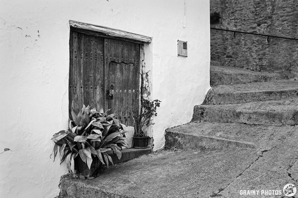 A weathered wooden door located at the base of stone steps, surrounded by potted plants. The scene is in black and white, emphasizing the rustic charm of the wall and steps.