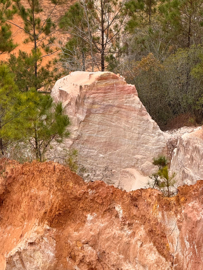A rugged landscape featuring a steep, multi-colored rock formation surrounded by sparse vegetation, including pine trees. The background displays reddish and beige layers of earth, suggesting a unique geological context.