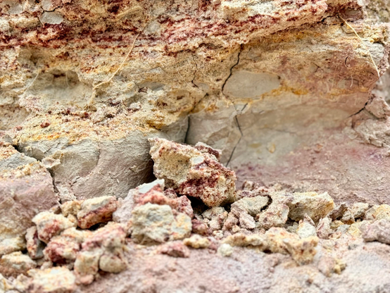 A close-up view of a kaolin deposit featuring various shades of gray, pink and purple, with uneven textures and cracks. The purple color comes from manganese. Small fragments of clay are scattered throughout.