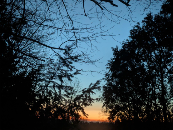 Photo taken looking east, before dawn at a clearing in the woods. The dark silhouettes of trees surround a view of a a distant ridge. Above it are streaks of orange and red. Above that the sky is lightening blue.