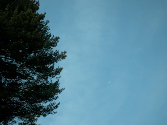 Photo of lightening blue sky. To the left is the dark silhouette of an evergreen tree. Midway up in the blue is a bright pinprick of light, the planet Jupiter.