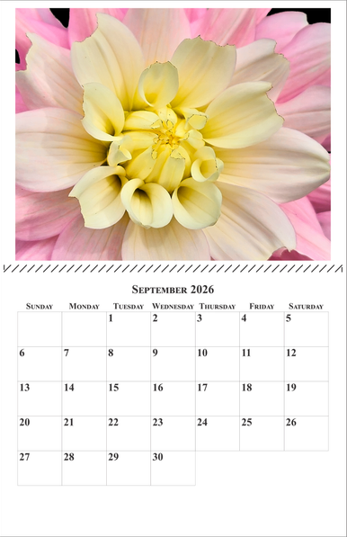 This image is a mock-up of a two-page photo calendar, with an image at the top and a monthly calendar at the bottom. In this example the photo is a close-up of a pink/yellow dahlia flower.