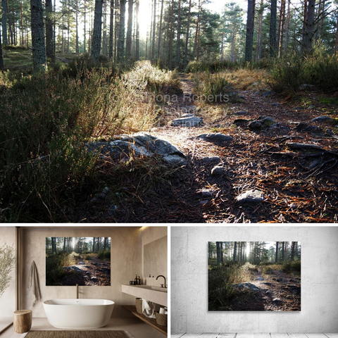 Above coloured photograph featuring the design- 

Sunlight on the Trail. 

Lower left design on a Canvas Print on a bathroom wall. 

Lower right design on a Canvas Print on an exhibition wall.

I took this photo during a lovely autumnal nature walk through the Scottish Highlands.

Features a serene Pine forest trail illuminated by the soft sunlight filtering through tall trees. 

The ground is covered with pine needles and scattered rocks.
 
Mockups combined in a grid format in canva.com 

Click links on the main post for options.





