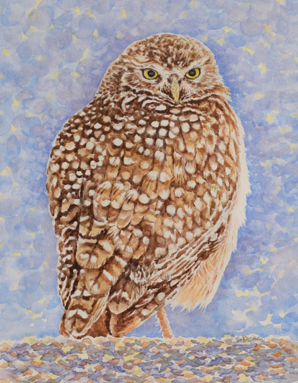 Watercolor painting of a burrowing owl.