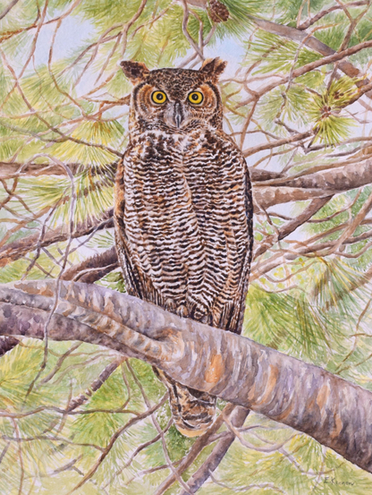 Watercolor painting of a great horned owl perched on a branch.