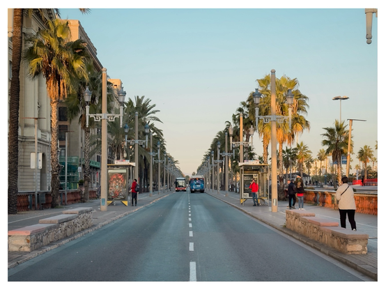 A wide, palm-lined avenue in Barcelona during golden hour, with soft sunlight illuminating rows of tall palm trees and ornate streetlamps on both sides. A bus drives away in the center of the road, while several pedestrians wait at bus shelters or walk along the sidewalks. The sky is clear and pale blue, giving the scene a calm, warm atmosphere.