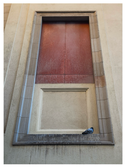 A single pigeon rests on the ledge of a tall, recessed architectural niche in a beige stone wall. The niche is framed by smooth stone blocks and features a boarded-up upper section with weathered reddish panels. Soft daylight highlights the textures of the stone and the subtle stains running down the wall.