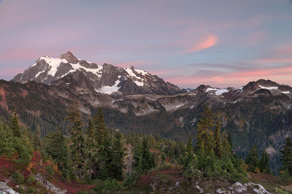 A mountain with several glaciers just after sunset with some light pink clouds in a blue sky and a foreground of valleys and sparse conifer trees and small shrubs in the foreground.