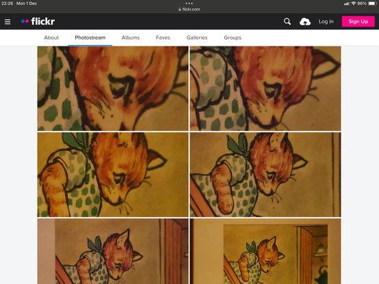Screenshot of a Flickr photo stream showing a series of photos of a painting of a ginger cat in a green and white dress going down stairs. Getting more close up nearer the start of the 6 photos visible.