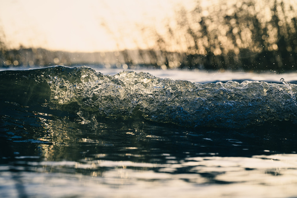 A close up photograph of a small wave, just breaking. The breaking wave takes up the bottom third of the photo and is in sharp focus. It is taken with a short shutter speed and water droplets can be seen spraying all over the image.

Sunlight refracts through the crest of the wave.

Beyond the wave are some blurry reeds and at the top, a bit of clear sky.

The photograph goes entirely in blue and yellow colours.