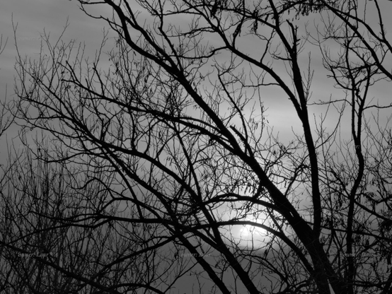 Sunset, black and white, photo