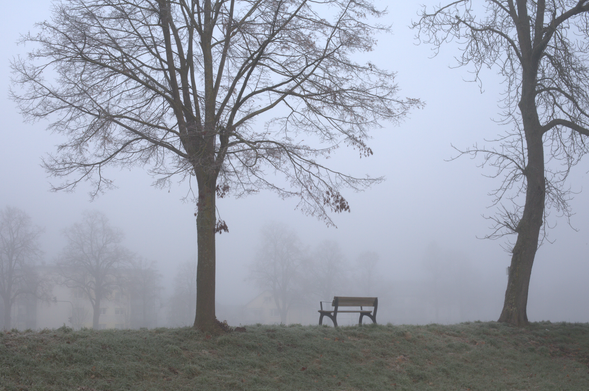 Ein Foto. Eine Bank im Nebel 