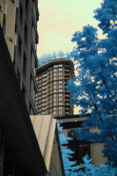 A small-ish high-rise with blue trees on top of it, framed by buildings in a yellowish grey and more blue trees.