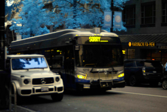 A bus with a destination sign reading "SORRY.........." beside a luxury SUV, driving down a street lined with blue trees.