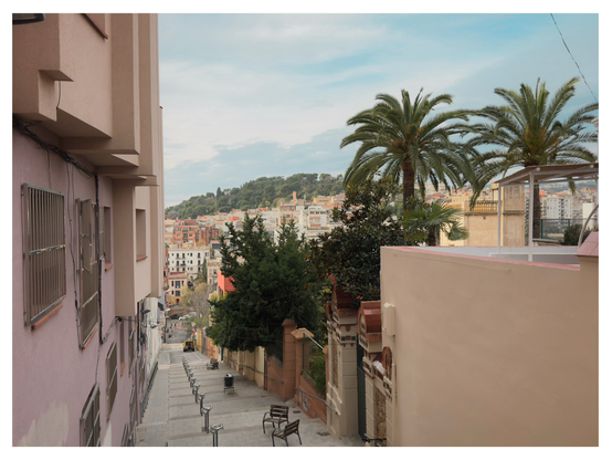 A steep pedestrian walkway lined with bollards descends between pastel buildings and palm trees, overlooking a dense, sunlit Barcelona neighborhood.