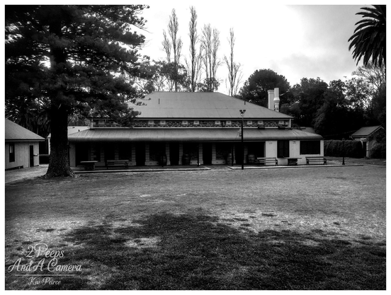 Black and white photograph of a long, historic stone building at the back of Seppeltsfield winery, featuring a wide verandah, a corrugated iron roof, and flanked by mature trees, with a large, shaded grassy lawn in the foreground.