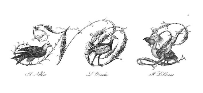 Plate featuring ornamental capital letters N, O, and P embellished with foliage, flowers, and pictures of birds, namely: a kite, a bustard, a pelican..