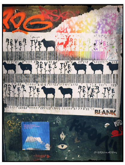 Street art affiché sur une vitrine à Clermont-Ferrand signé Blank : des silhouettes de moutons noirs, toutes identiques sont installées sur de longs codes barre horizontaux d'où émerge à plusieurs reprises la phrase "rêver tue". Une partie du code barre semble être envahie de couleurs dans sa partie supérieure.