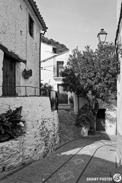 A narrow cobblestone street winds between whitewashed buildings with wooden doors, framed by lush greenery and a decorative potted plant. A streetlamp casts gentle light, creating a serene atmosphere in a quaint village setting.