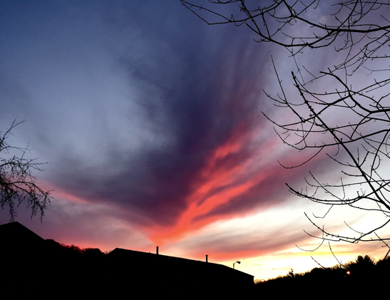 The image shows a dramatic sunset sky with a silhouette of rooftops and bare tree branches in the foreground. The sky is a gradient of colors, beginning with deep orange and pink hues near the horizon, transitioning into purples and blues as it rises. The clouds are streaked, creating a fan-shaped pattern emerging from the horizon, with deep shadows and vibrant highlights. Bare tree branches frame the image on the right and left sides, adding texture and contrast to the vivid sky.
