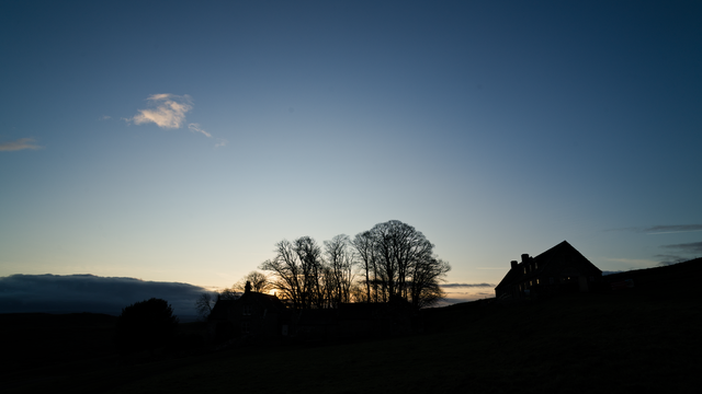 Trees and a building silhouetted against a clear sky around sunset. Sunlight catching the windows.