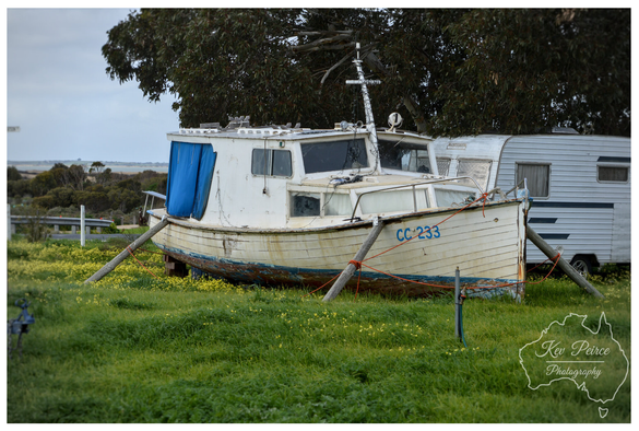 A weathered white wooden fishing boat, sits on a patch of bright green grass and yellow wildflowers, propped up on wooden supports.

A large, dark green tree provides a backdrop, and the rear of a white caravan is visible to the right.