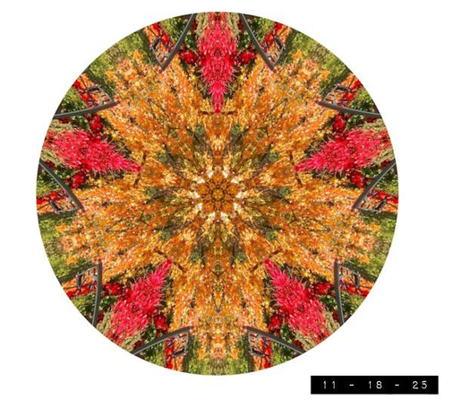 Photograph of the red burning bush, the yellow sweetgum tree, and the black metal arbor in my back yard at the height of autumn after it was transformed into a kaleidoscopic image using a free online program.  Purists may say, "Hey - wait a minute!  Digital manipulation is a lying abomination!" but those who know me know that this is the way my back yard actually looked to me after my second glass of wine.  