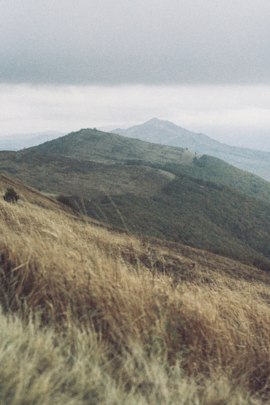 A moor with dry grass, visible trees, and heavy clouds hovering over the mountain peaks.