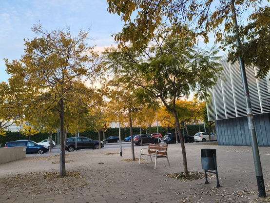 Acabo de fotografiar esto