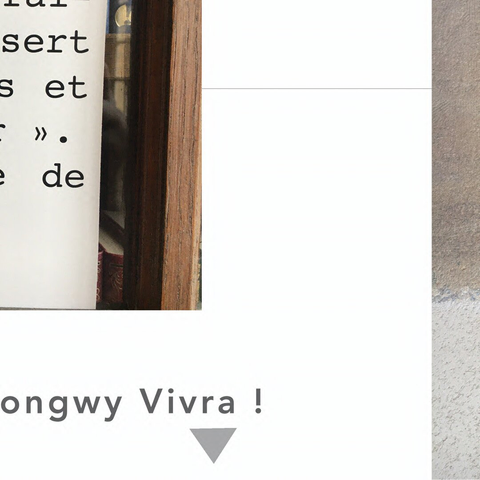 Affiche de l'exposition Longwy Vivra !