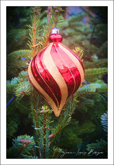 A single, teardrop-shaped Christmas ornament hangs at the center of the frame, its glossy red and glittering gold stripes curling around the bulb in a graceful spiral. The red sections catch the light with a smooth, mirror-like sheen while the gold bands sparkle with a rougher, glittered texture, giving the piece a lively contrast between polished and frosted surfaces. A small silver cap and a thin red thread secure it to a firm, green spruce branch; the short, sharp needles fan outward and cradle the ornament like a natural nest.
The background blurs into soft greens and hints of deeper shadow, isolating the bauble and lending the image a shallow, intimate depth of field. Subtle vignetting around the edges draws the eye inward, enhancing a warm, nostalgic mood: the kind of scene that suggests quiet holiday mornings or the slow, deliberate trimming of a tree. Overall the composition feels both delicate and festive, a small jewel set against the lush texture of the evergreens. 