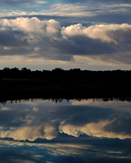 Ile de Ré : un plan d'eau sans la moindre onde. Véritable miroir où se reflète le ciel nuageux.