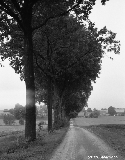 Die Baumberge im Münsterland