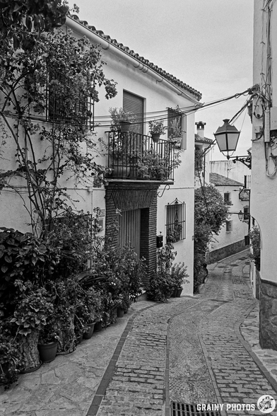 A narrow, winding street in Benalauría, featuring potted plants and lush greenery. Traditional balconies adorn the buildings, with intricate details and a vintage lamppost adding charm to the scene. Black and white photography enhances its timeless appeal.