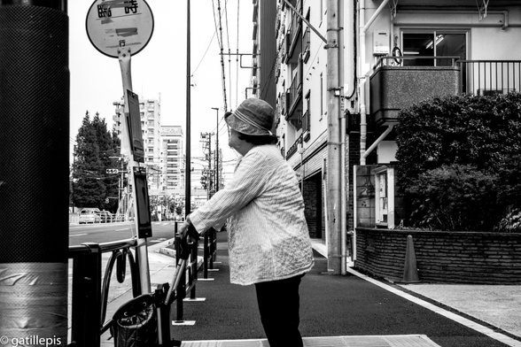Dona gran amb un carret esperant a una parada d'autobús.
