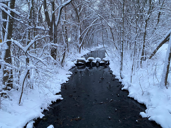 Picture of a creek, with a snow covered trees on both sides. It’s snowing. There are snow covered rocks crossing the water.
- - -
Photo d'un ruisseau, avec des arbres couverts de neige des deux côtés. Il neige. Il y a des rochers enneigés qui traversent l'eau.