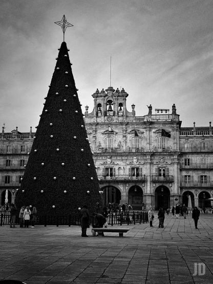 Una fotografía en blanco y negro de una plaza pública con un enorme árbol de Navidad y un gran edificio histórico. Un árbol de Navidad cónico y muy oscuro, decorado con numerosos adornos esféricos claros y una estrella en la cima, domina el lado izquierdo de la imagen. Detrás y a la derecha se alza un gran edificio de piedra con una fachada ricamente ornamentada, arcos en la planta baja, balcones y un campanario central con campanas y un reloj. Varias personas pasean o se detienen en la plaza de adoquines, bajo un cielo nublado.