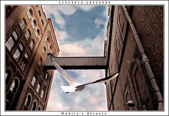 Vista de dos edificios en una de las calles de la fábrica de Guinness. En el centro del plano se observa una estructura que comunica ambos edificios.