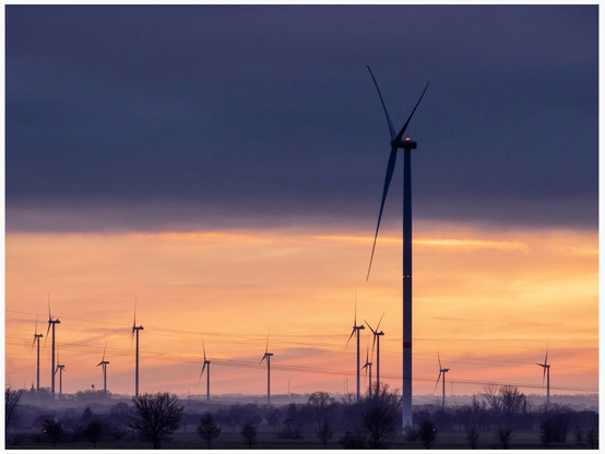 Blick gen Horizont über das Feld bei fast untergegangener Sonne. Vor dem orangefarbenen Himmel steht ein Dutzend Windräder. 