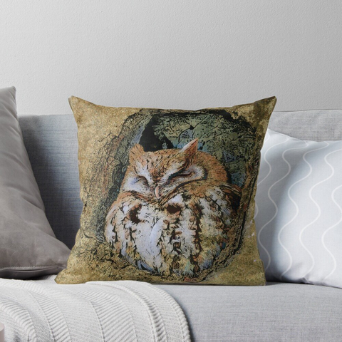 Throw Pillow
