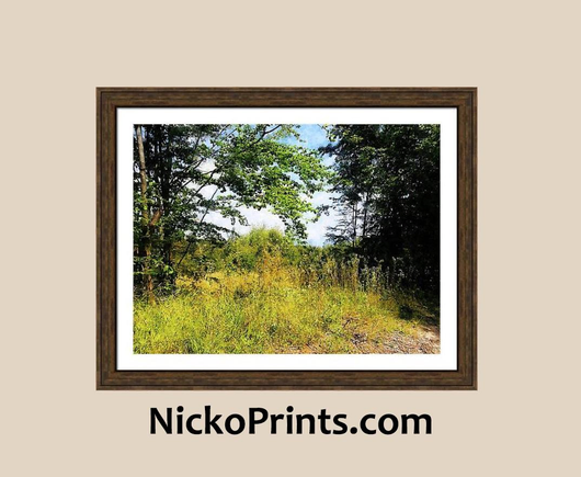 Woodland Edge with Grass and Weeds Painterly Edit