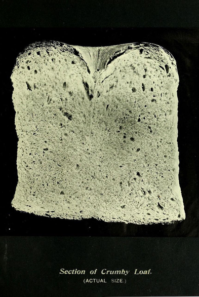 Illustration of bread