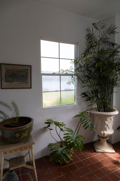 We're indoors, in a small room with a tropical, colonial feel to it thanks to the decor. A white wall and ceiling are across the small space from us, angled slightly so that we're almost looking into the corner of the room where a decorative urn with Greek or Roman-style figures in relief on its white exterior hosts a tall plant, possibly a type of thin, green bamboo with plenty of spear-point leaves branching off its tips. The plant reaches almost to the ceiling and its deep green contrasts nicely with the white wall and the small, square, terracotta tiles on the floor. A shaft of muted sunlight reaches across the tiles from the right somewhere to illuminate one half of the urn. A small pot with a plant with  larger leaves sits on the floor against the wall to the left of the urn and left again is a small stand made from cane and wicker supporting another pot and another small plant. There's a small, framed, faded painting of a beach scene with distant island on the wall above that. Central in the wall there is a rectangular sash window with each of the two panes further split into four equal panes of glass within thin frames. The glass is misted up, perhaps a deliberate measure, perhaps a result of the humid climate and relative cool of the interior, but we can see it's bright outside with green grass beneath water then dark hills and finally the white sky.