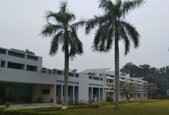 White building, surrounded by neatly trimmed lawn and towering palm trees under a gray, cloudy sky.