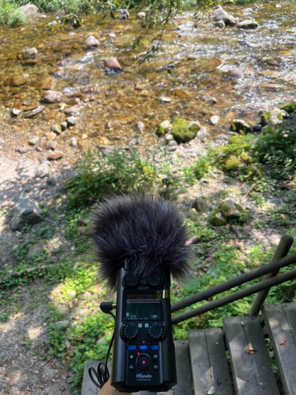 Image of water sounds being recorded