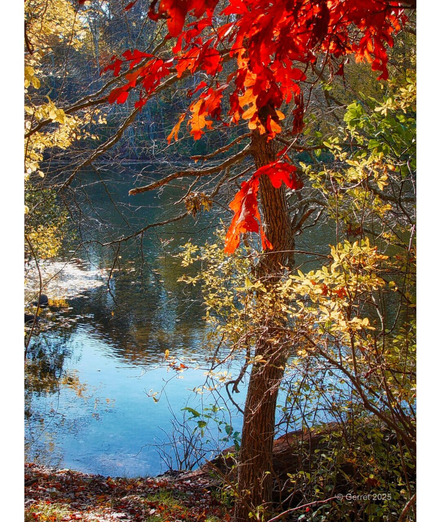 Autumn scene with vibrant red and yellow leaves framing a tranquil lake. Sunlight filters through the branches, creating a warm, serene atmosphere.