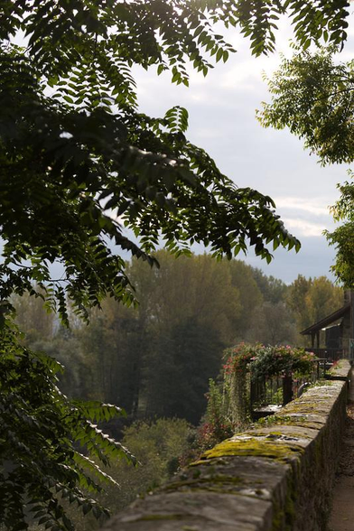 Stone wall covered with moss and flower pots overlooking a lush green forest under a cloudy sky